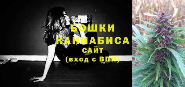 амф Белокуриха