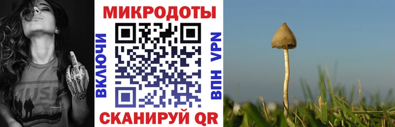 Псилоцибиновые грибы мухоморы  Облучье 